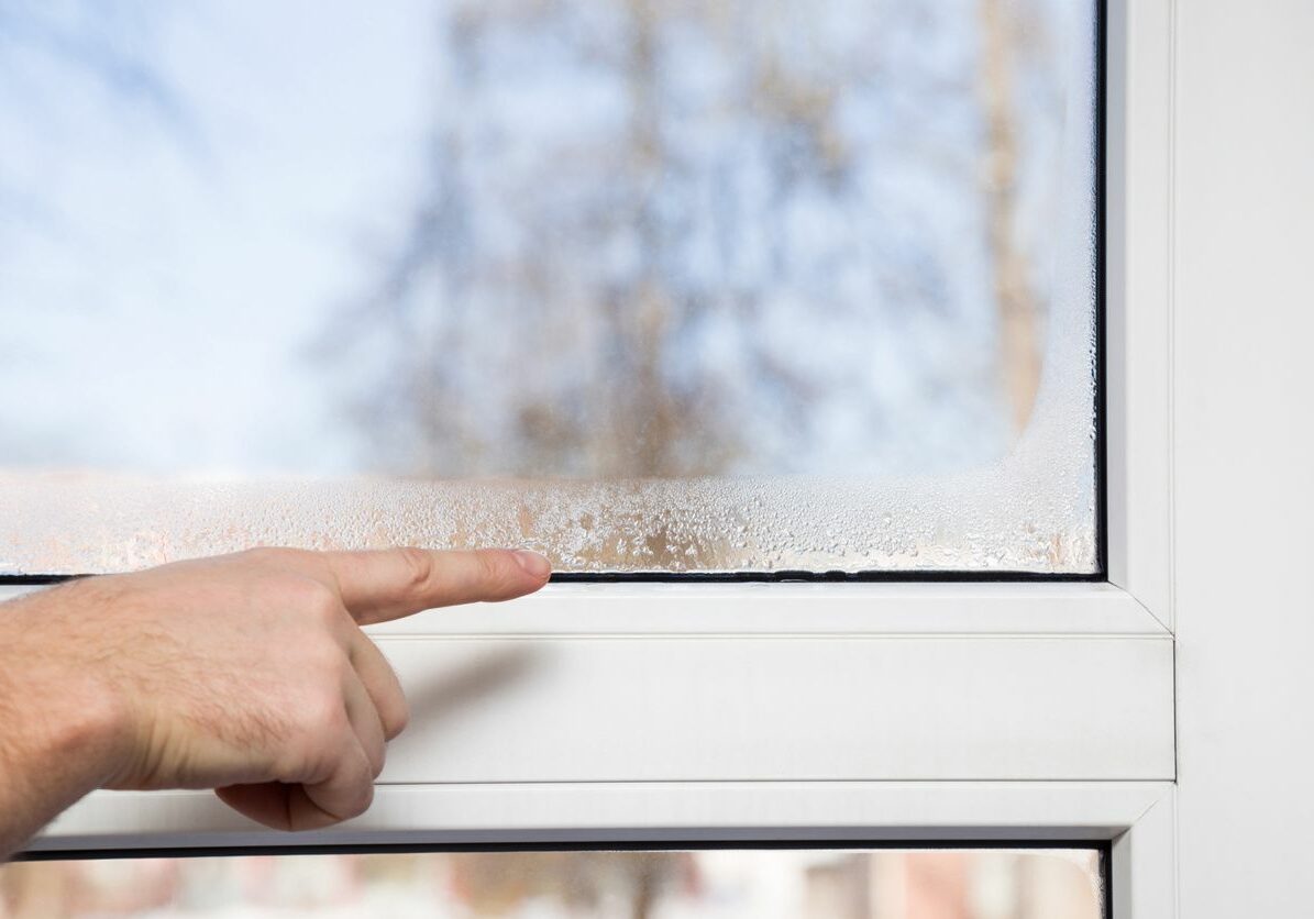 дограма varna sea build