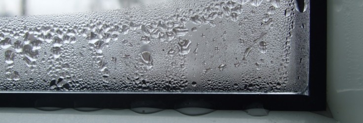 фирми дограма варна