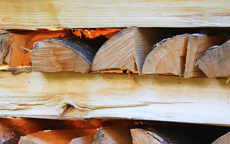 varna sea build дърва 