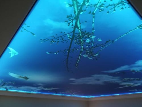 опънат таван 