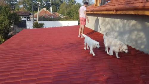 Метални покриви от varna sea build