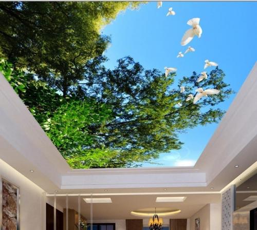 опънат таван с пейзаж от varna sea build